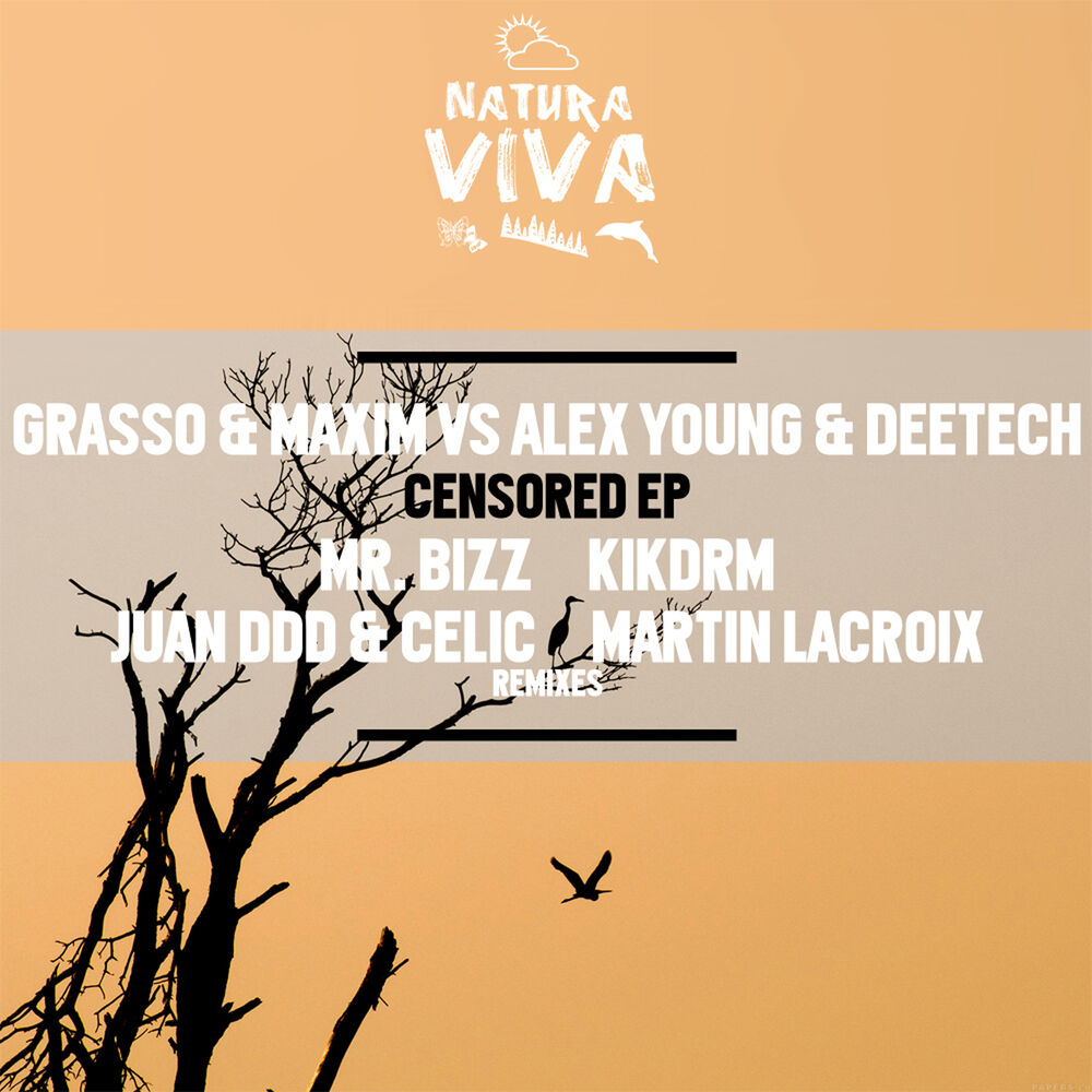 Picture of Grasso & Maxim vs. Alex Young vs. Deetech