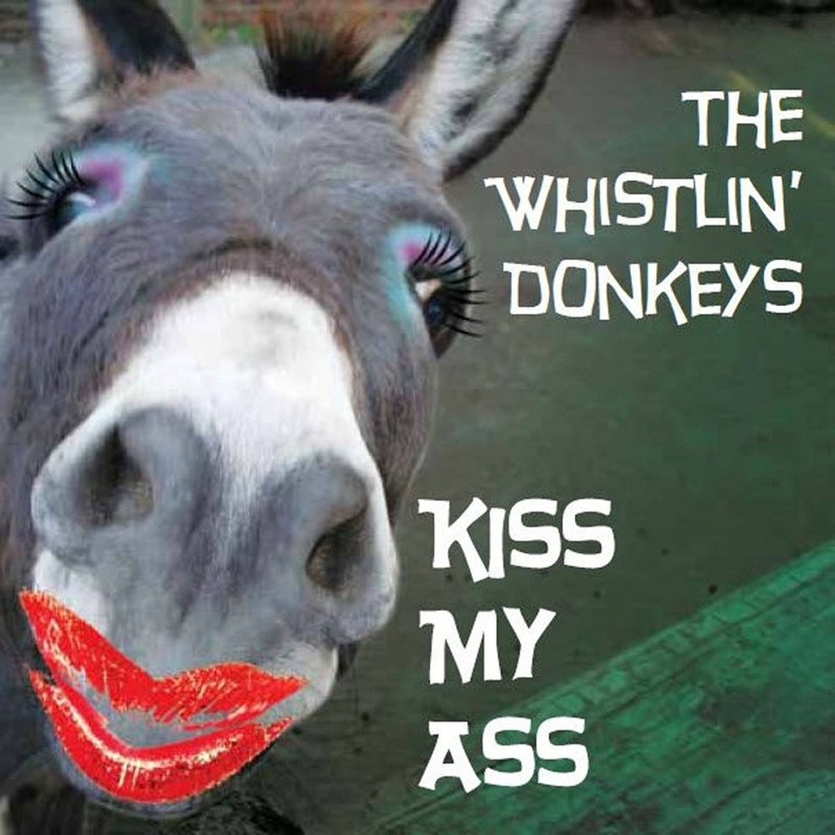 The Whistlin' Donkeys