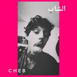 Picture of Cheb