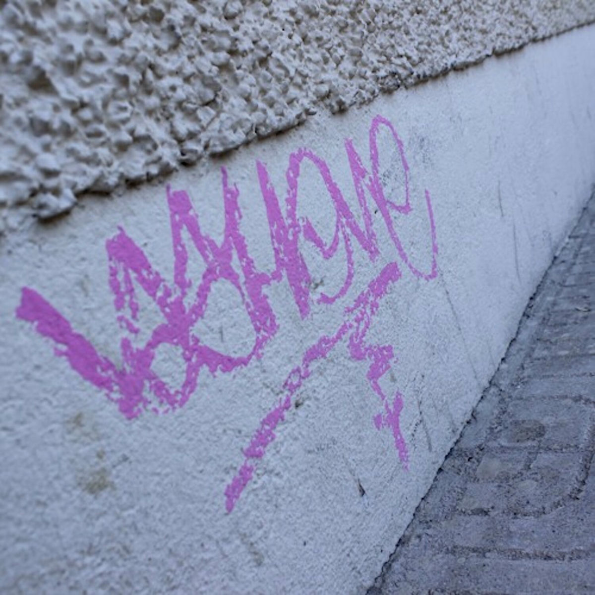 Vashone