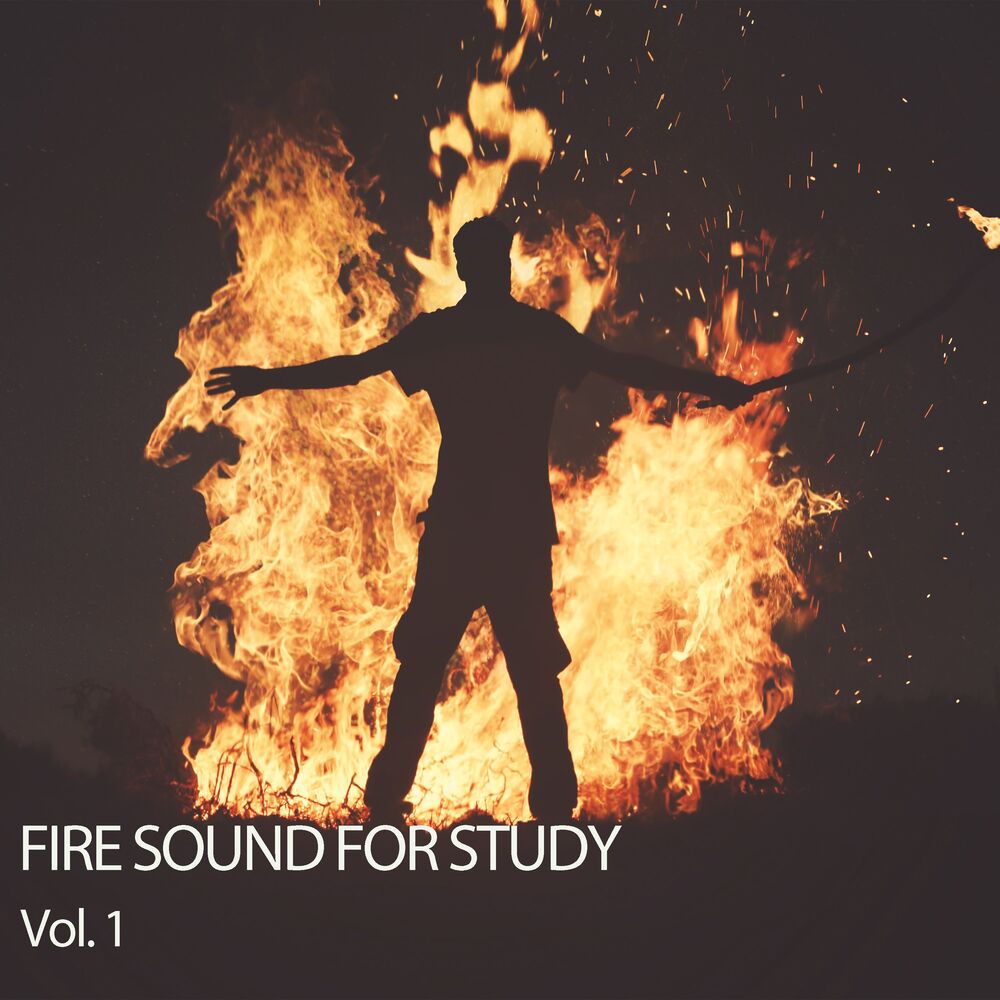 Picture of Fireplace FX Studio
