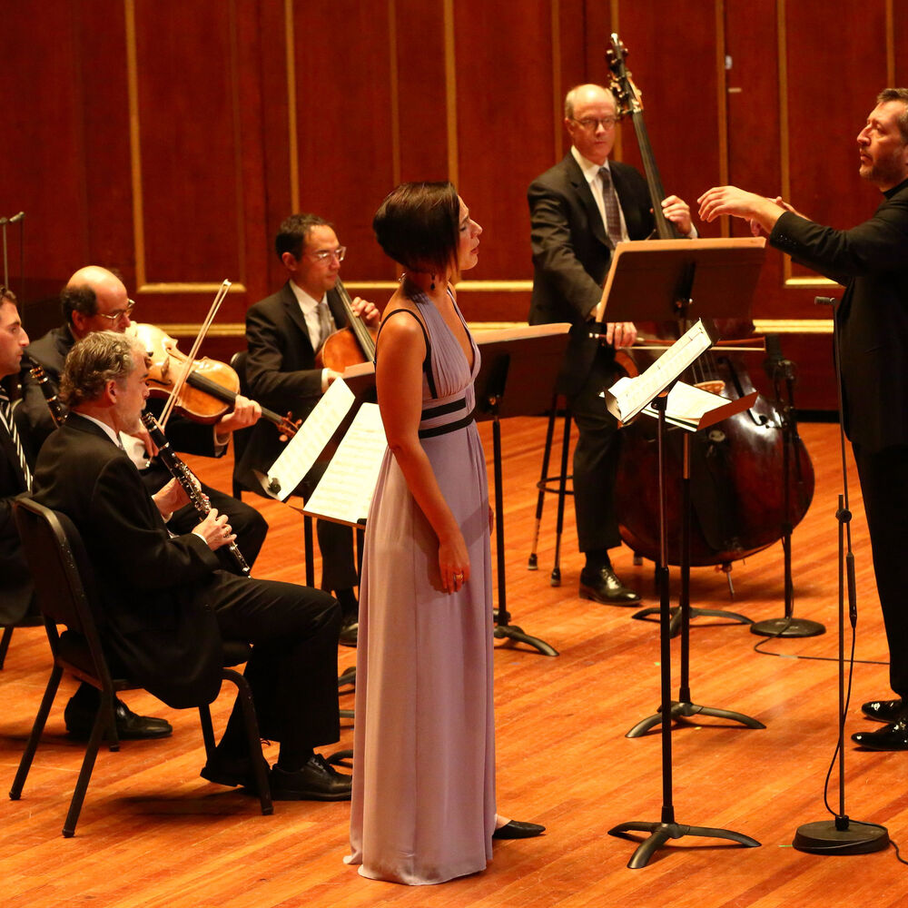 Picture of Boston Symphony Chamber Players
