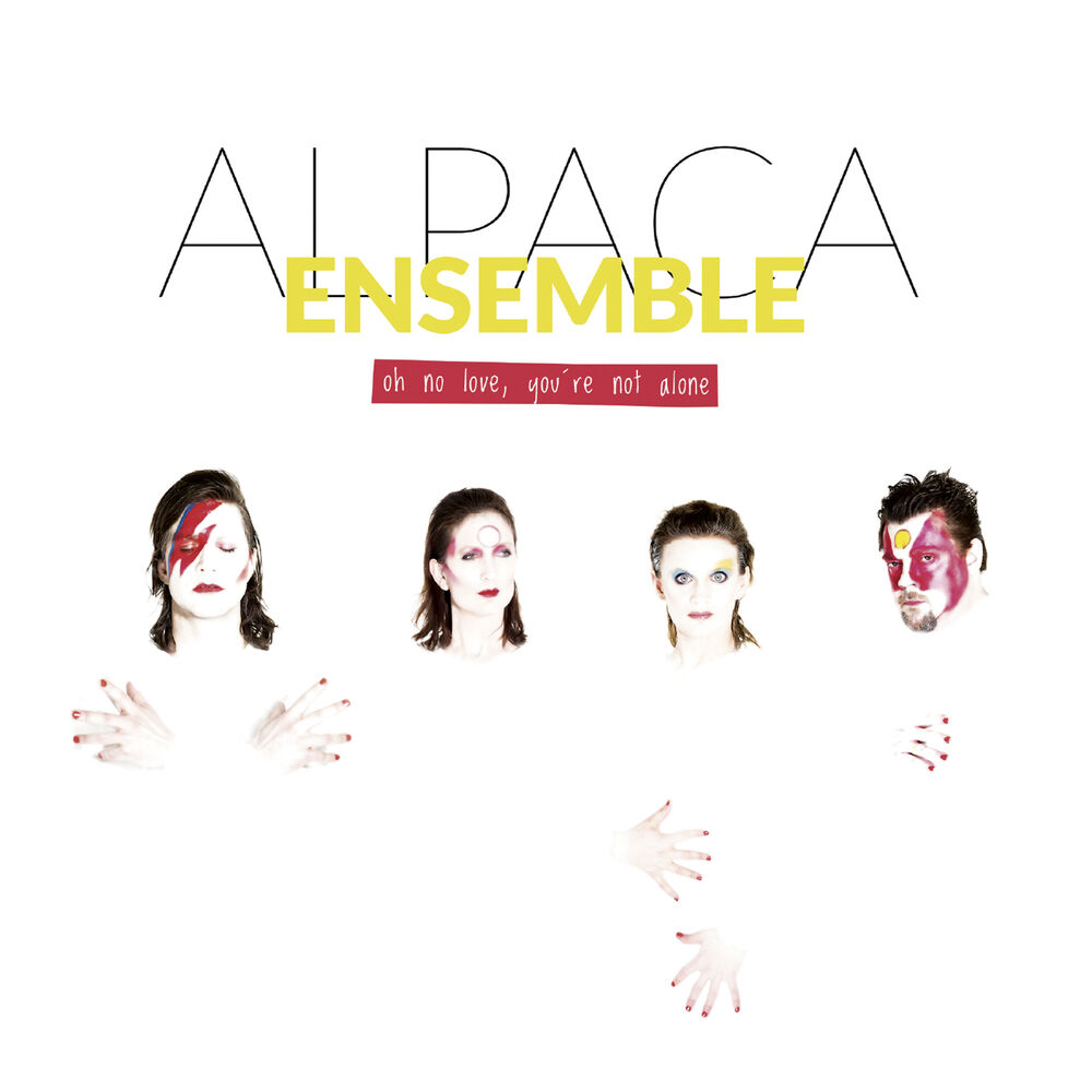 Picture of Alpaca Ensemble