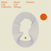 Music Lab Strings