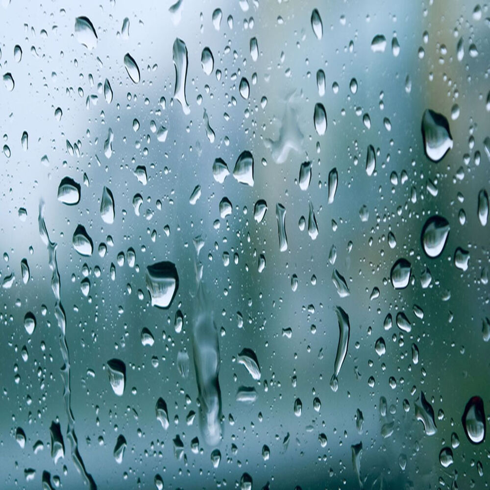 Picture of Rain Sounds