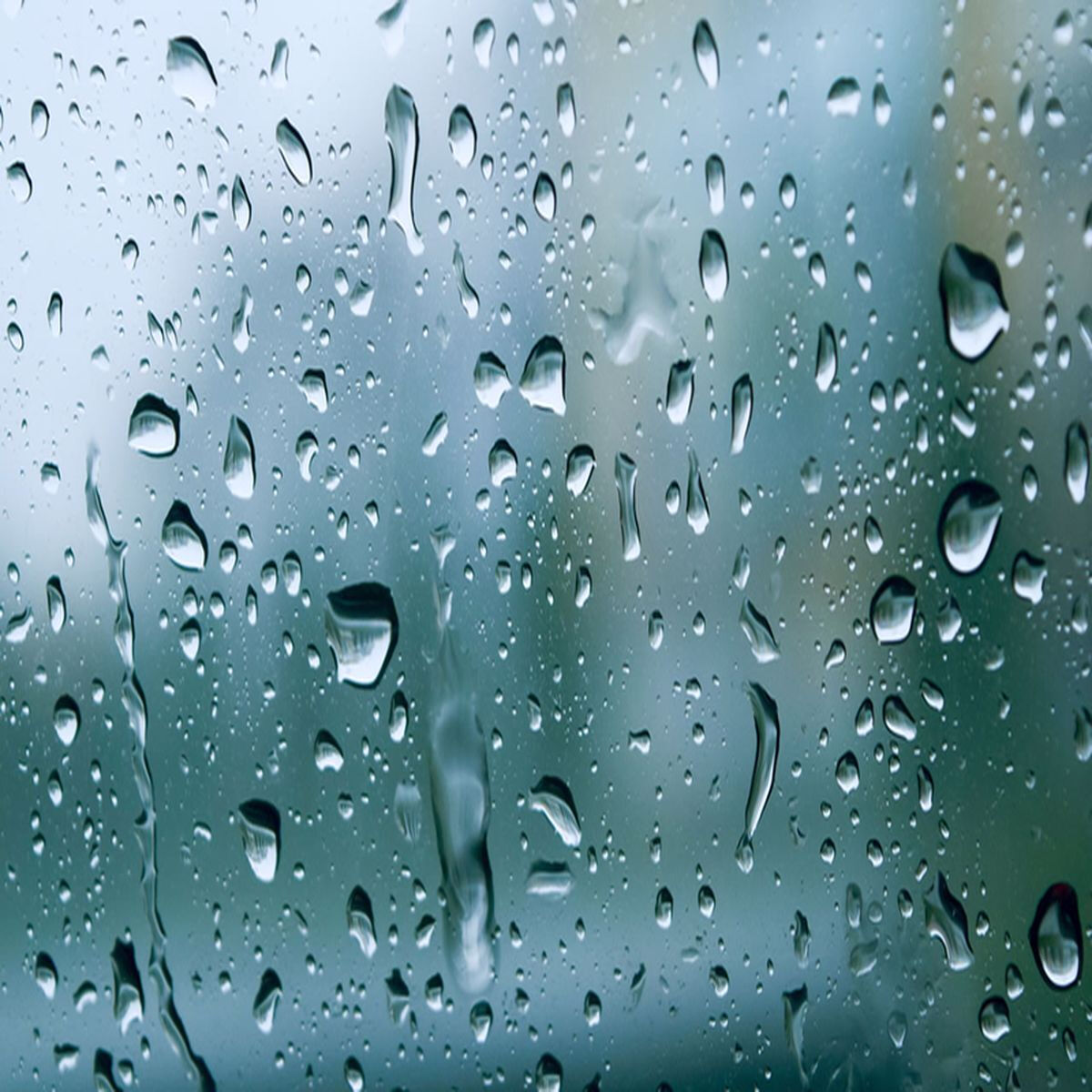 Artist picture of Rain Sounds
