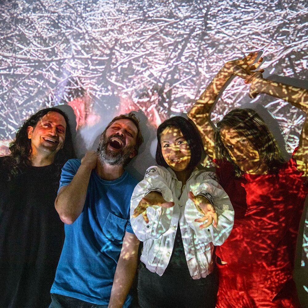 Picture of Deerhoof
