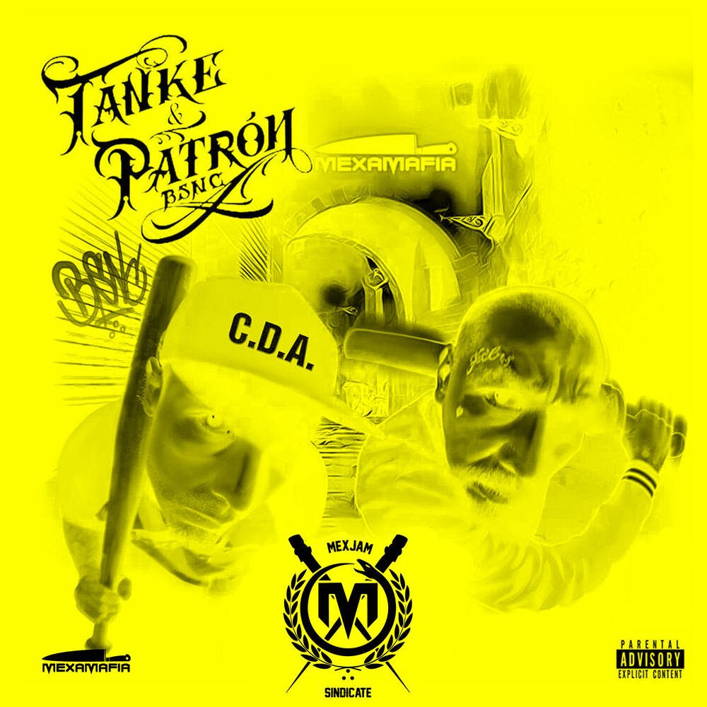 Picture of Patrón BSNC
