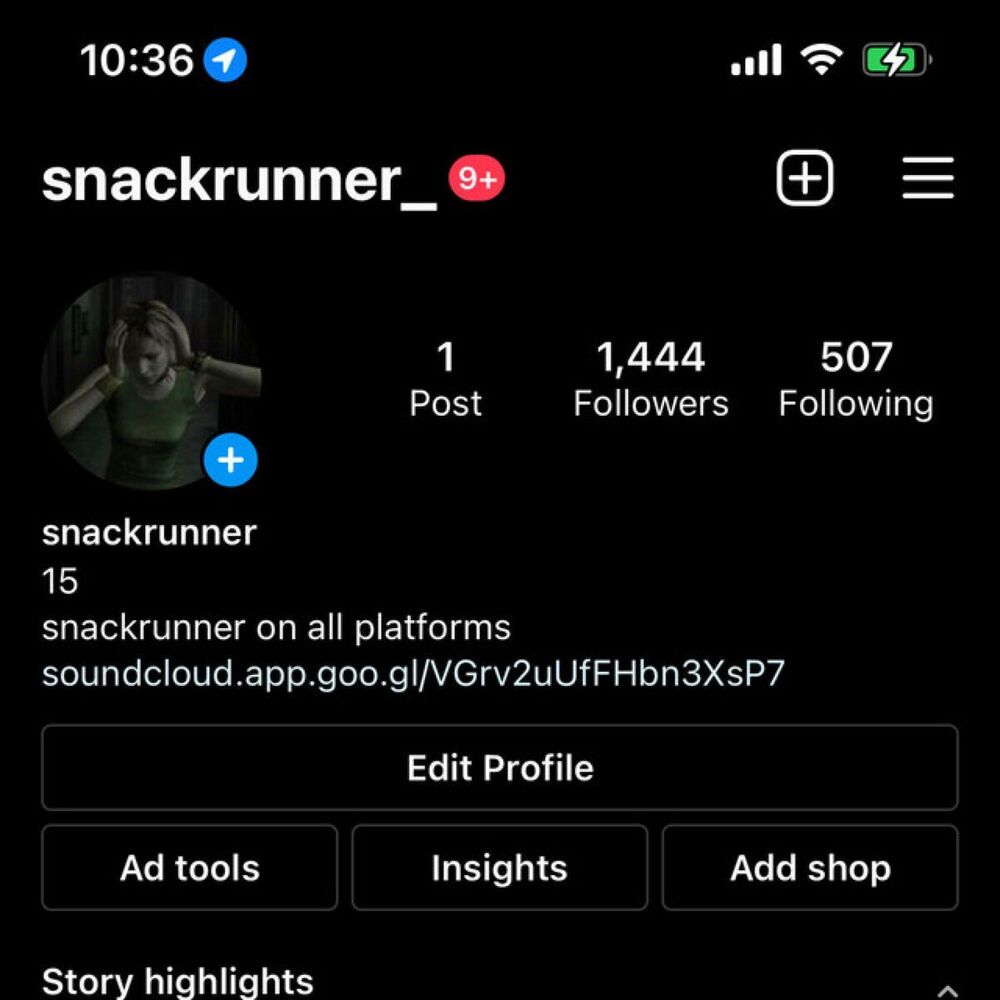 Picture of snackrunner