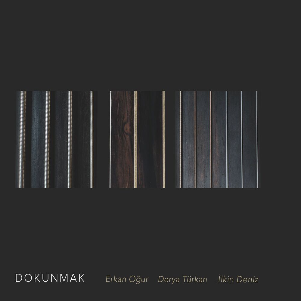 Picture of Erkan Ogur