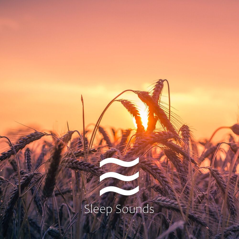 Picture of Soporific Pink Noise