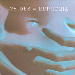 Picture of Insides
