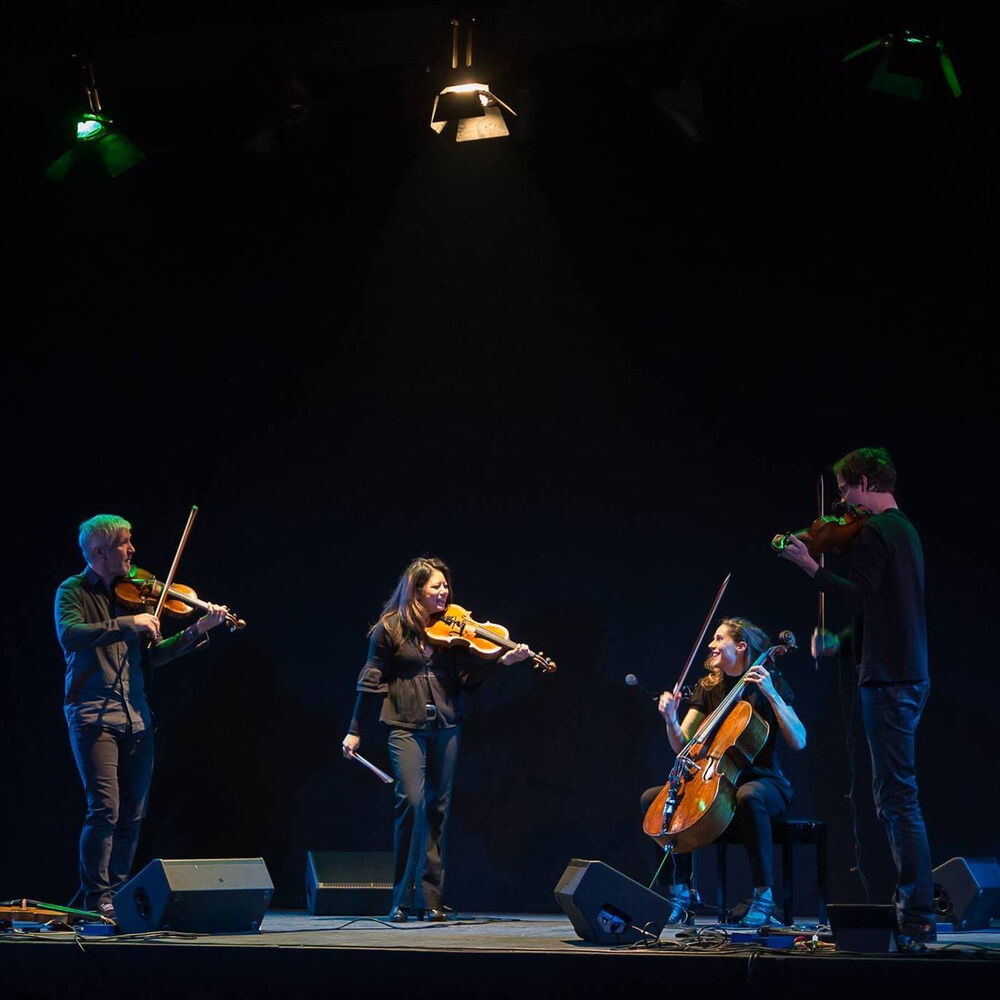 Picture of Radio.string.quartet.vienna