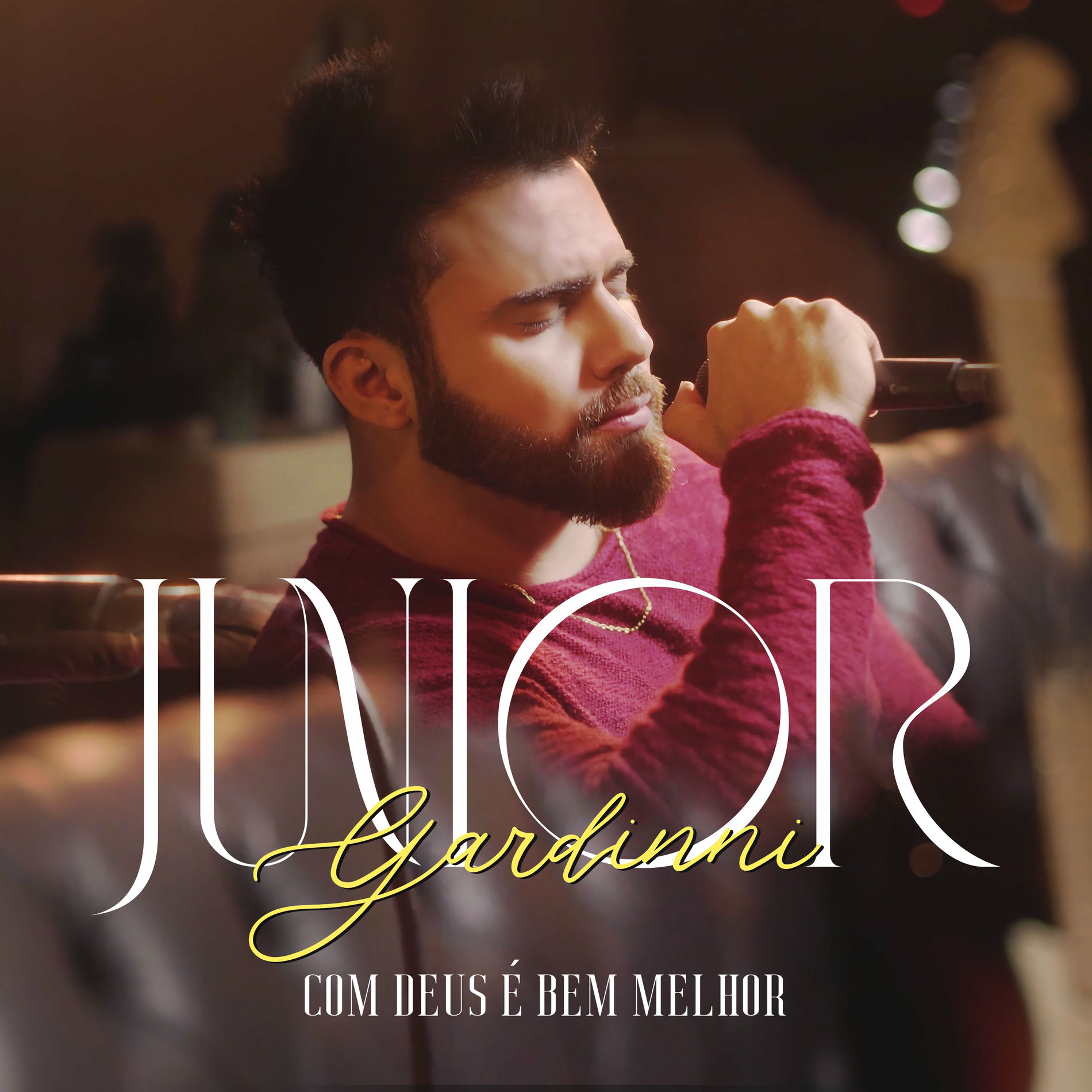 Artist picture of Junior Gardinni