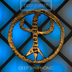 Picture of Deep Forest