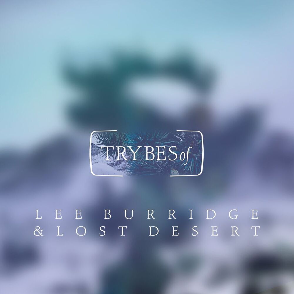 Picture of Lost Desert