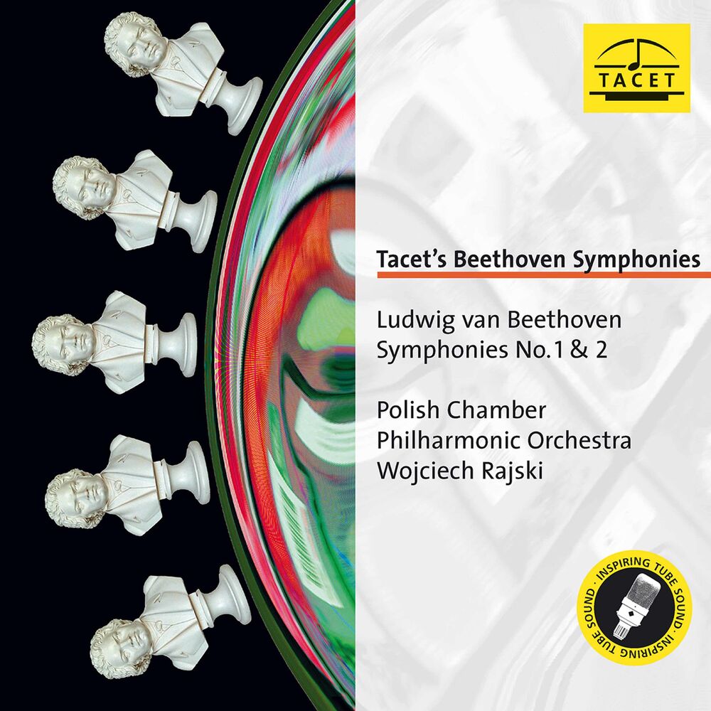 Picture of Polish Chamber Philharmonic Orchestra Sopot