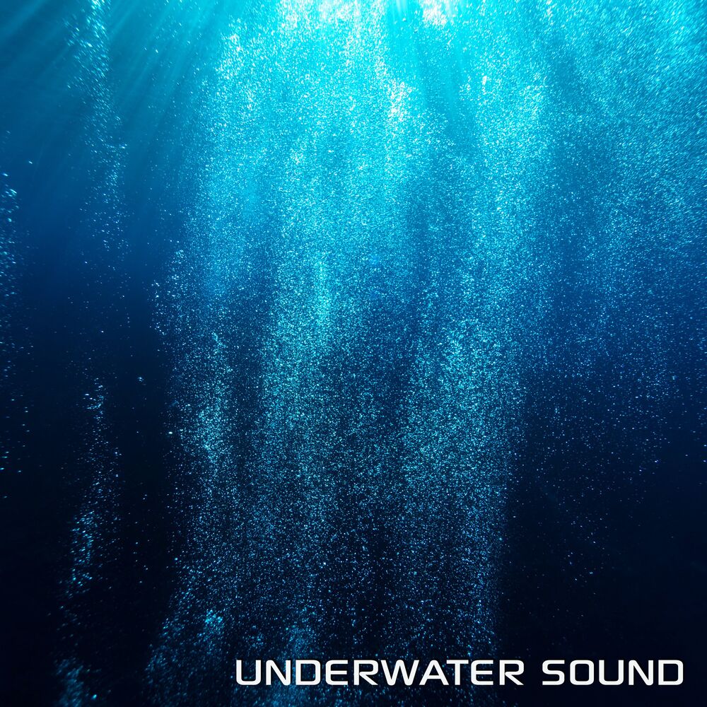 Picture of Discovery Soundscapes