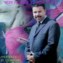 Picture of Mohamed El Guersifi