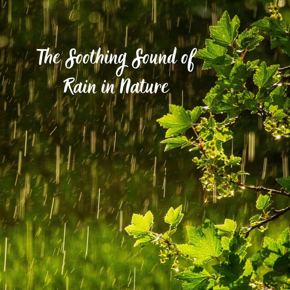 Picture of HD Rain and Water