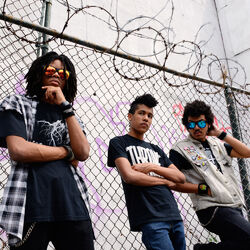 Picture of Radkey