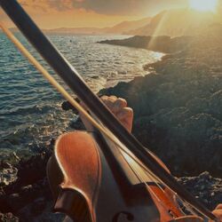 Picture of Poviolinist