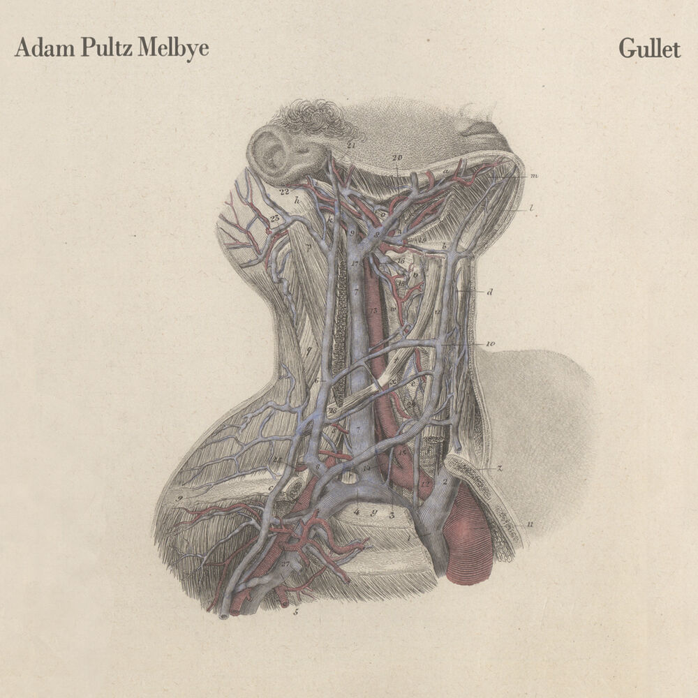 Picture of Adam Pultz Melbye