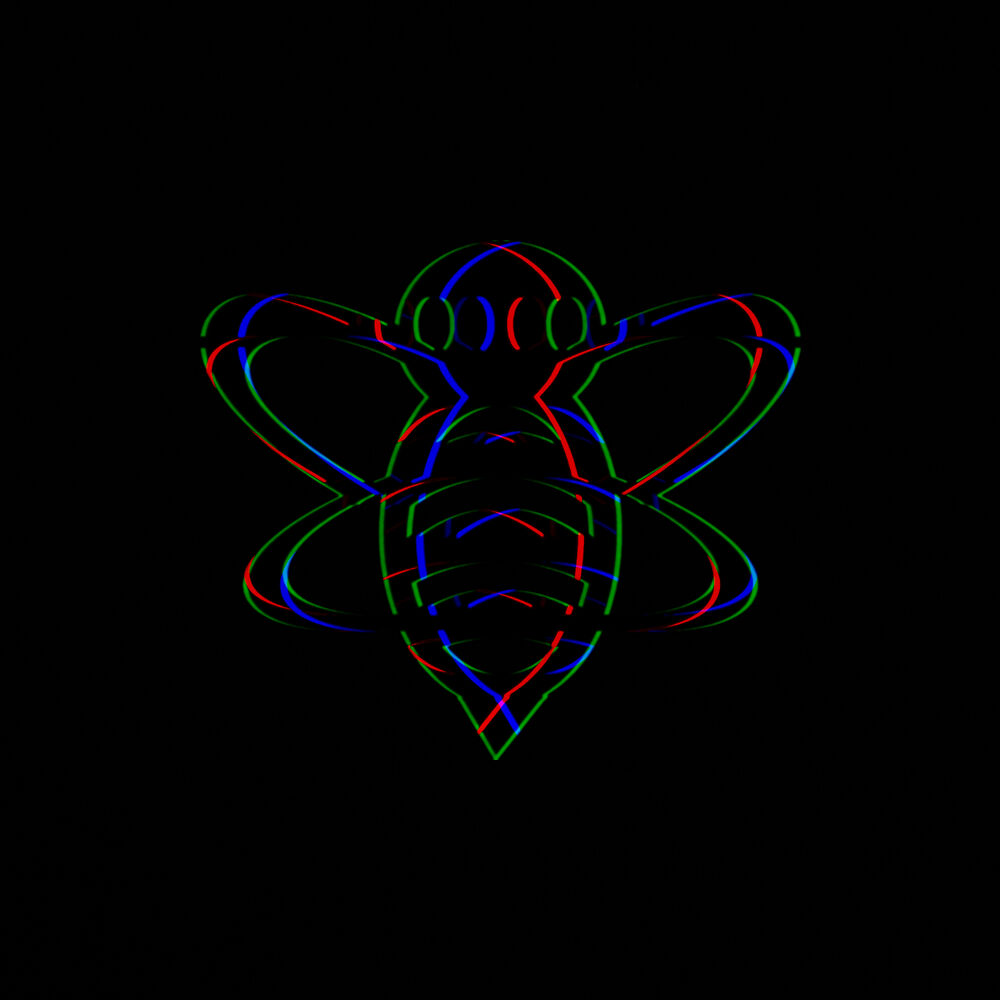 Picture of RG Bee