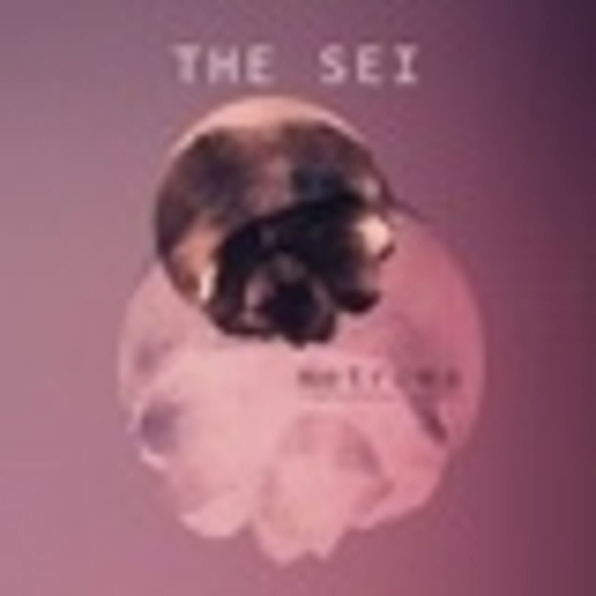 Artist picture of The Sei