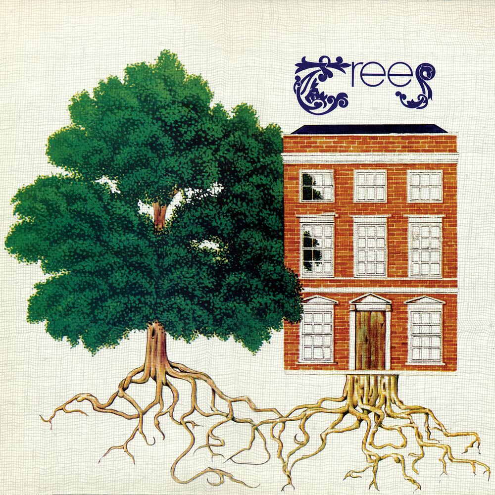 Picture of Trees