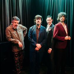 Picture of The Mountain Goats