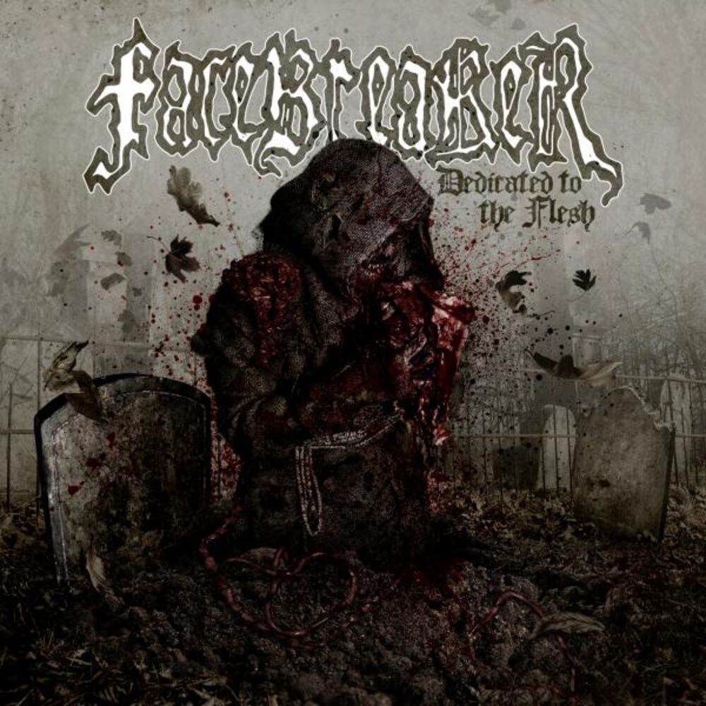 Picture of Facebreaker