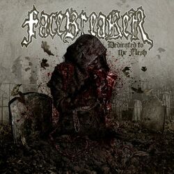 Picture of Facebreaker