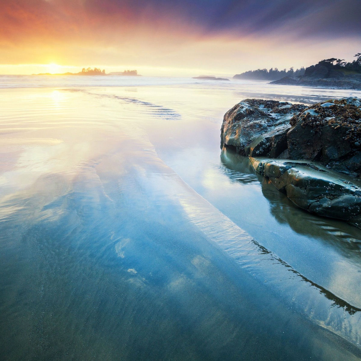 Artist picture of Dreamy Thoughts