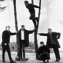 Picture of The Sonics