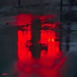 Picture of Josp Feel