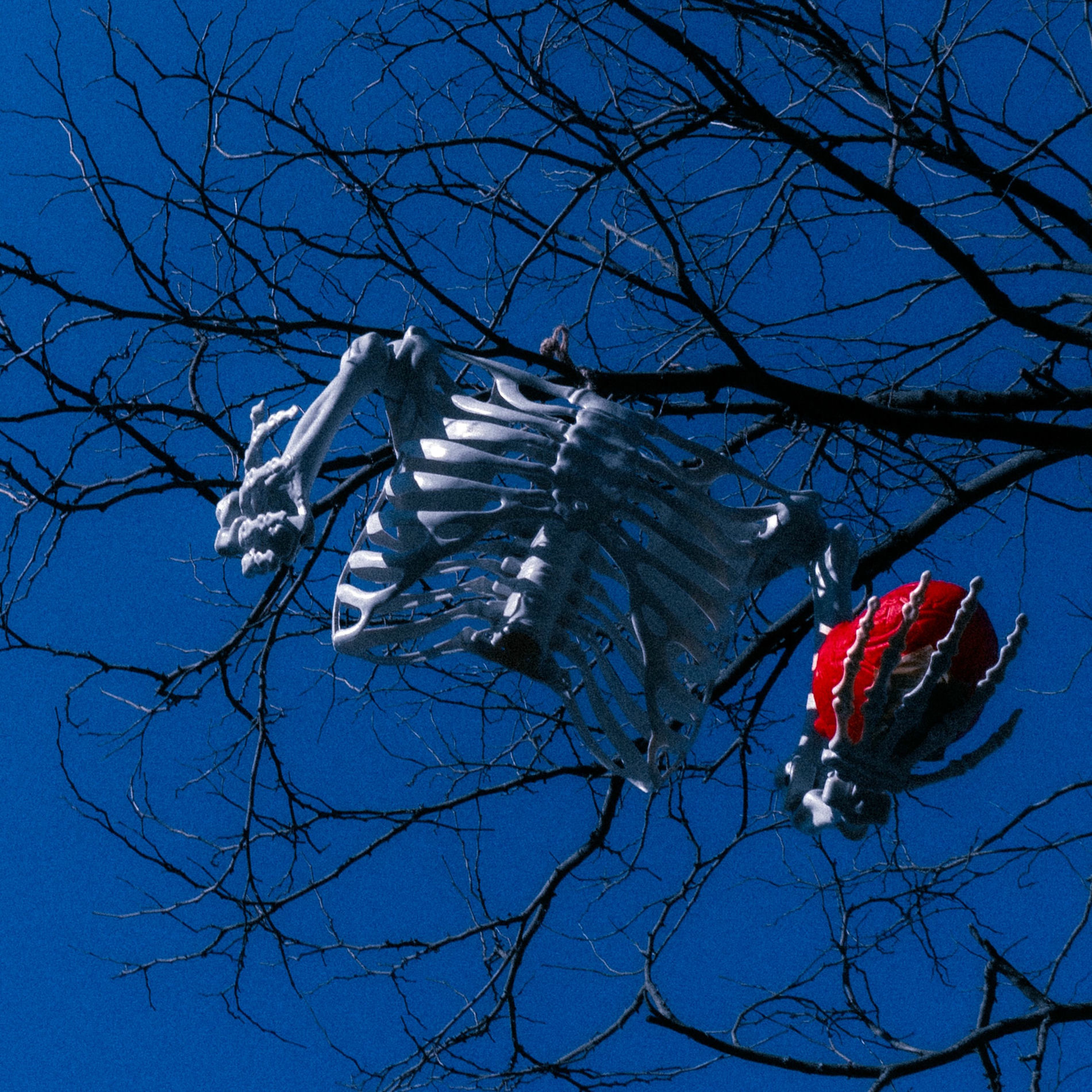 Artist picture of Tape Head