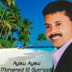 Picture of Mohamed El Guerssifi