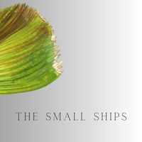The Small Ships