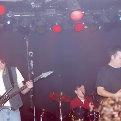 Picture of The Solids