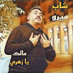 Picture of Cheb Mirou