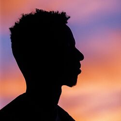 Picture of Yelo