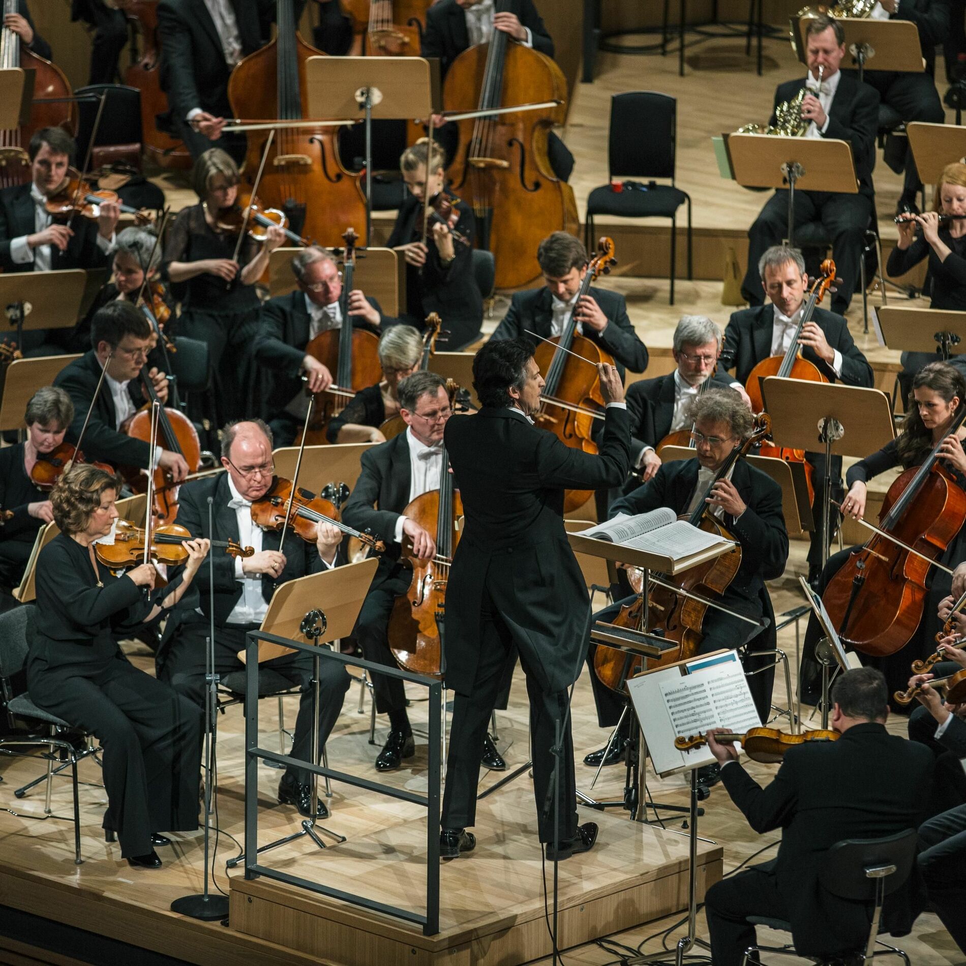 Dresdner Philharmonie