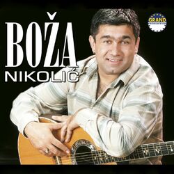 Picture of Boza Nikolic