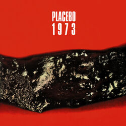 Picture of Placebo
