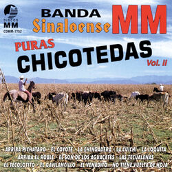 Picture of Banda Sinaloense MM