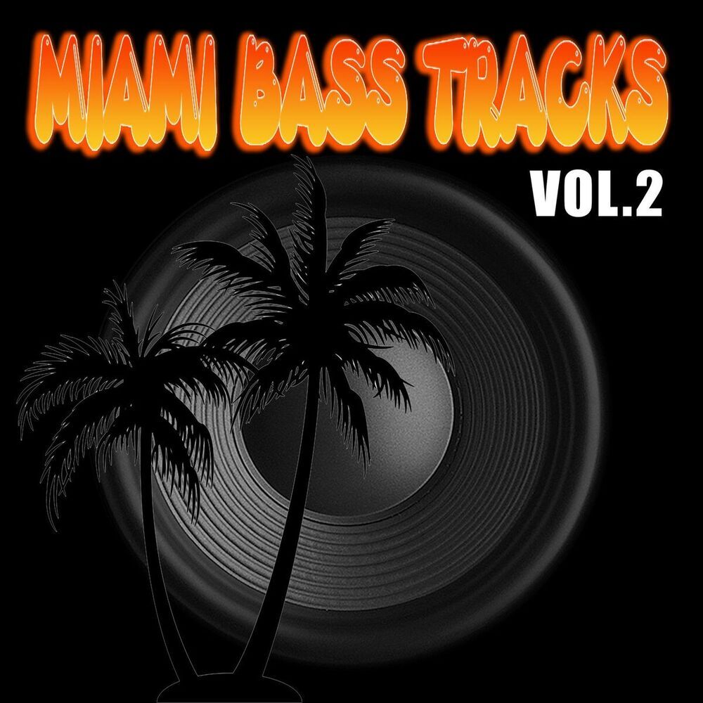 Picture of Miami Bass Tracks