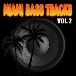 Picture of Miami Bass Tracks