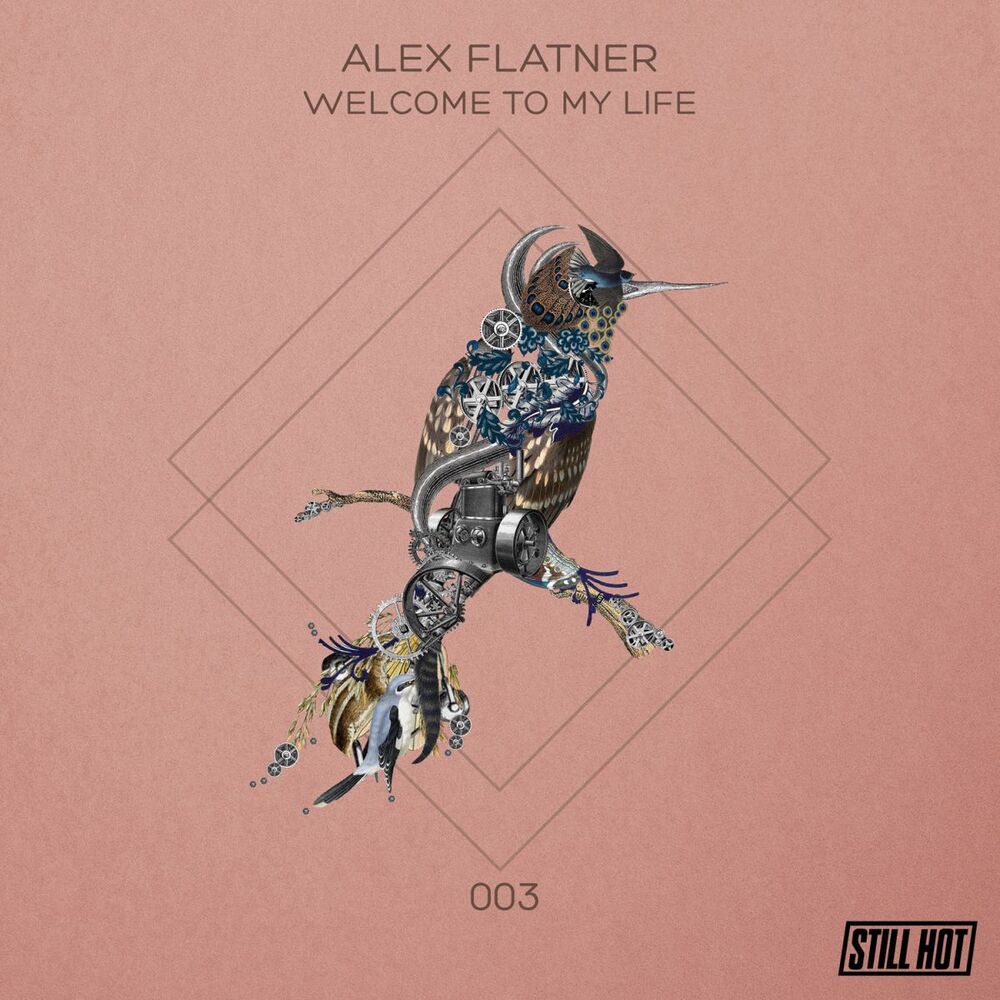 Picture of Alex Flatner
