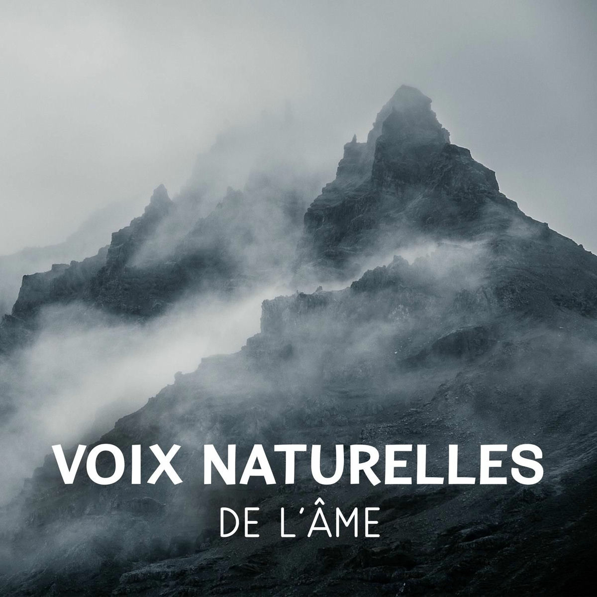 Artist picture of Collection de Musique Naturelle